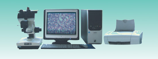 ʯī֯ 